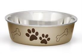 Loving Pets Champage Bella Bowl - Medium