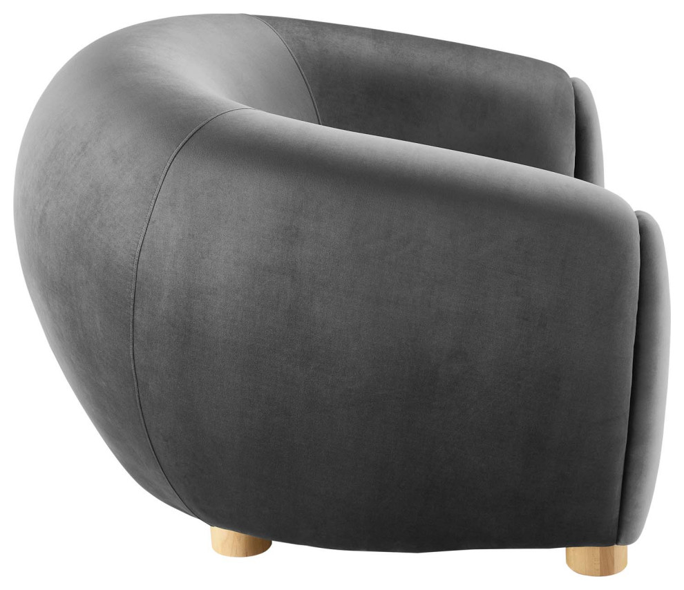 Abundant Performance Velvet Armchair   Transitional   Armchairs And Accent Chairs   by GwG Outlet  Houzz