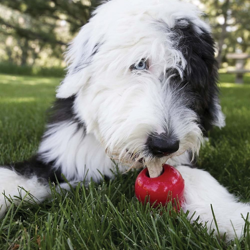 KONG Stuff'N Ziggies Dog Treats