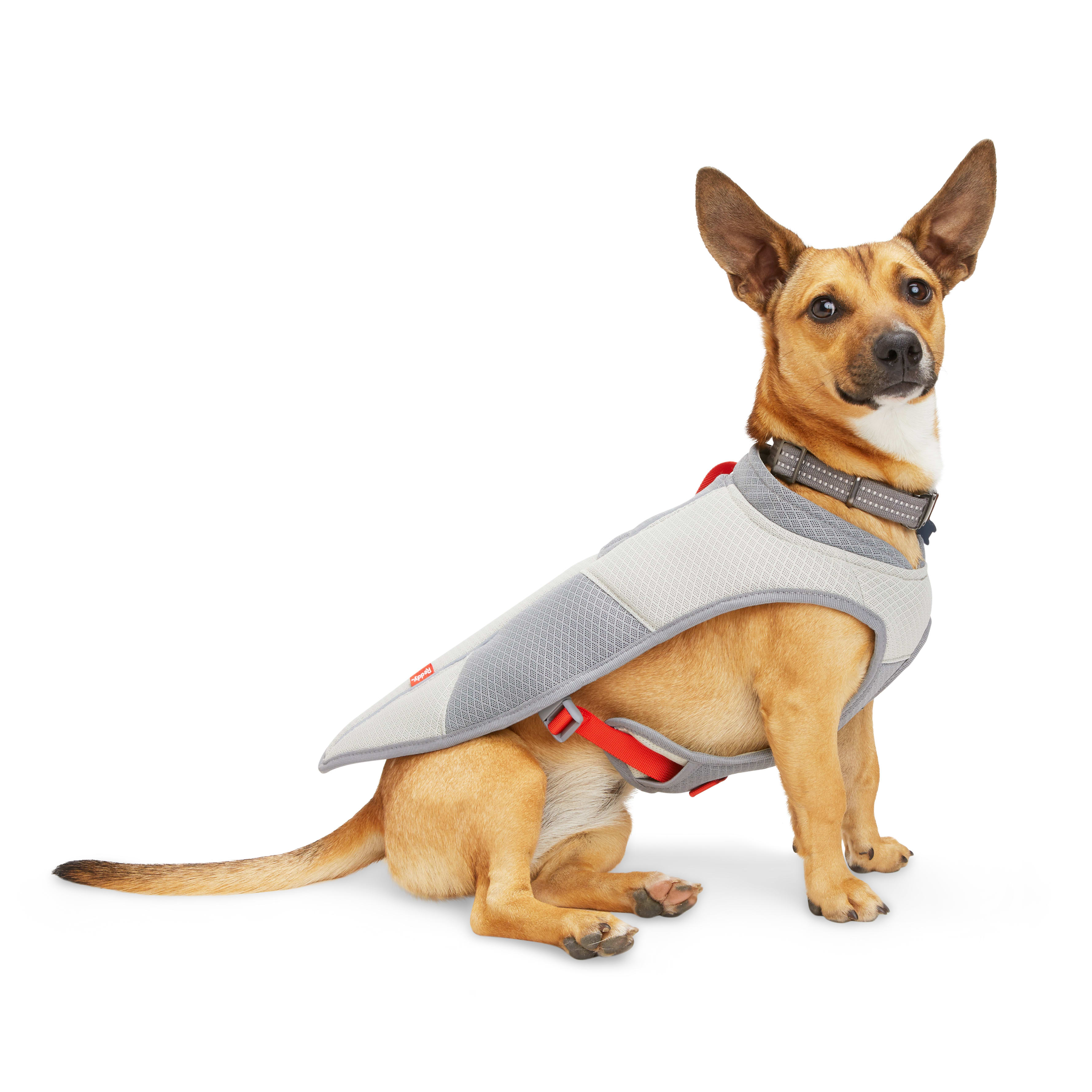 REDDY Grey/Red Cooling Dog Vest， Large