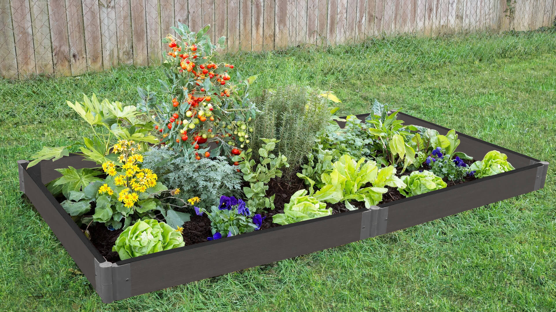 4' x 8' Raised Garden Bed