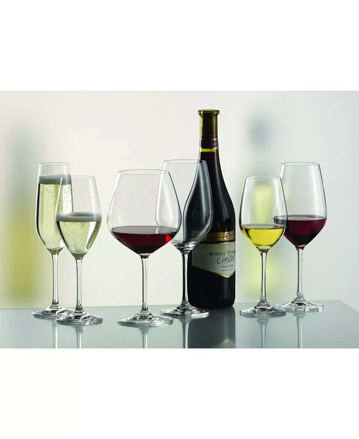 Schott Zwiesel Forte Red Wine 17.3oz - Buy 6 Get 8