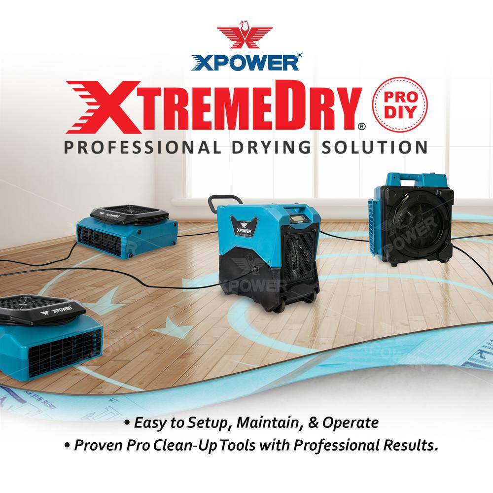 XPOWER 145-Pint LGR Dehumidifier with XTREMEDRY Mojave DIY Pro Drying Solution xdp1