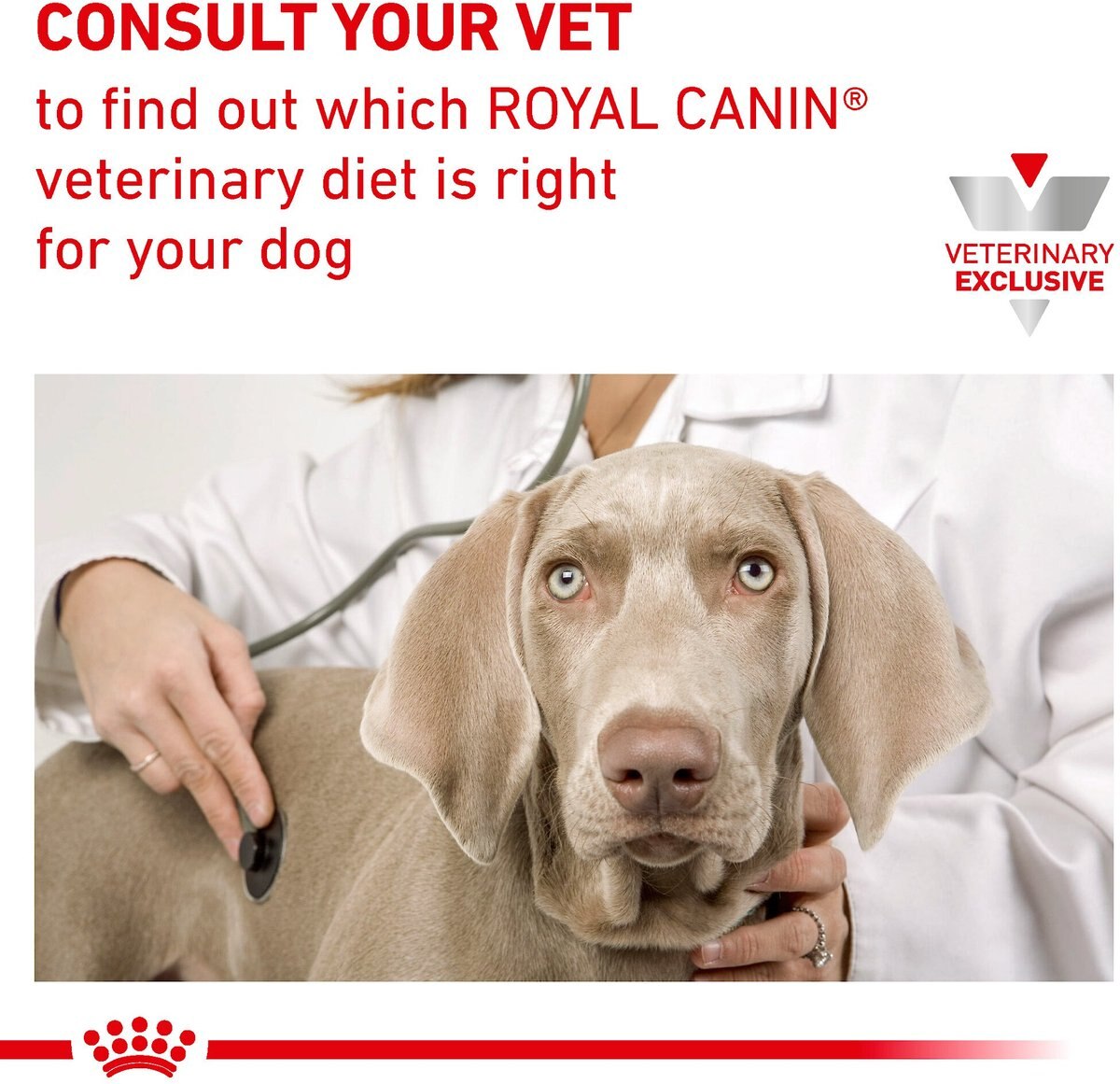 Royal Canin Veterinary Diet Adult Weight Control Large Breed Dry Dog Food