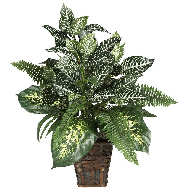 X 26 quot Artificial Zebra Plant With Wicker Pot Nearly Natural