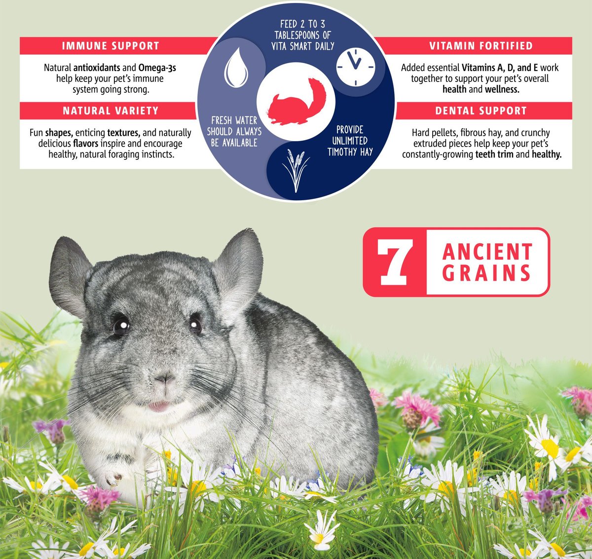 Vitakraft Vita Smart Vitamin-Fortified Complete Natural Forage Blend Nutrition Timothy Hay Pellets Chinchilla Food