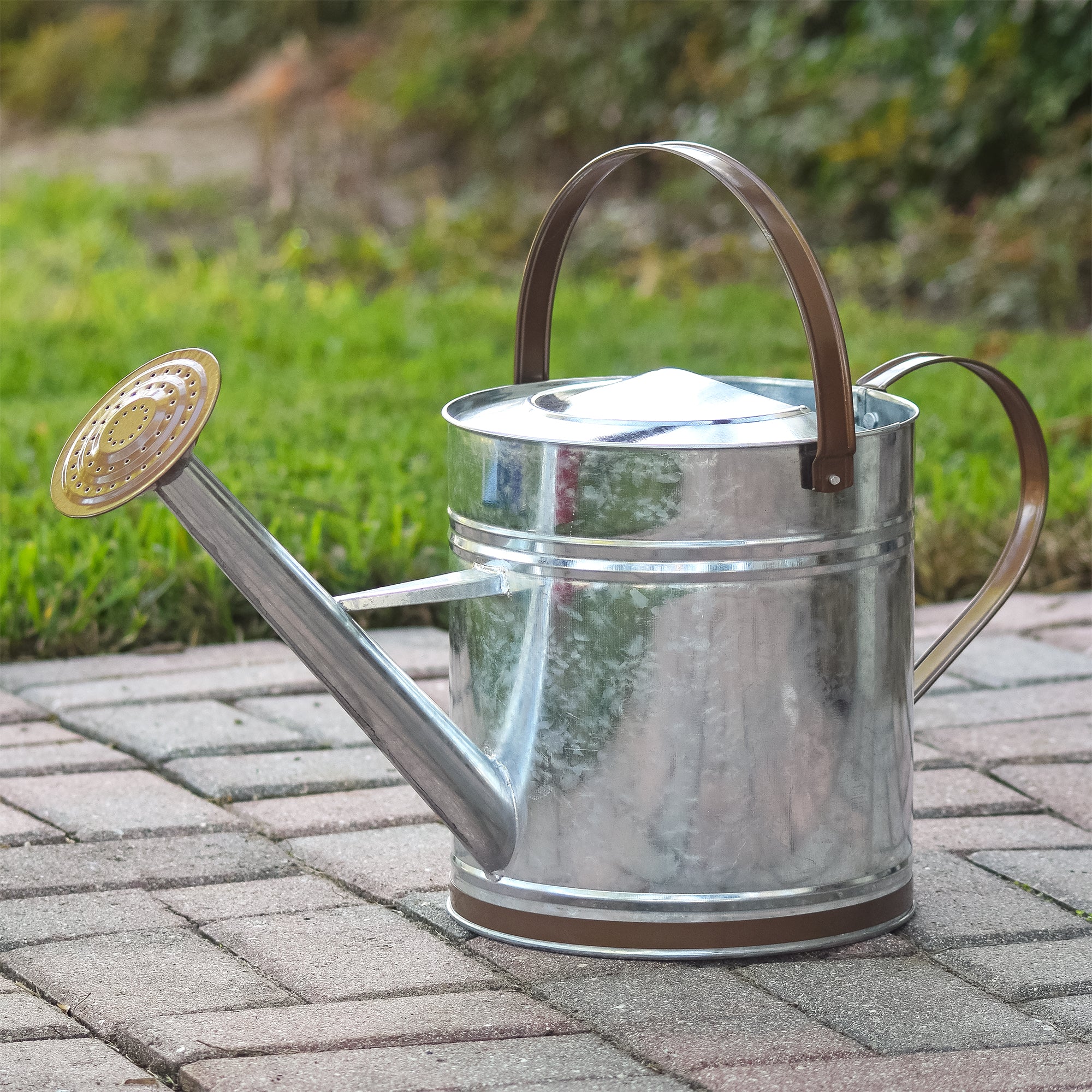 Arcadia Garden Products 1.3 gal Classic Watering Can, Chrome