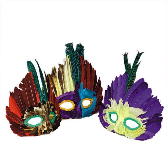 S S Worldwide Assorted Feather Masks (pack of 12)