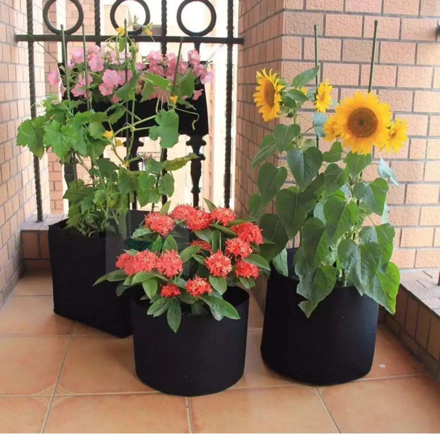 Breathable Garden Planting Tomato Fabric Smart Pots For Vegetables Biodegradable Plant Grow Bag Pot