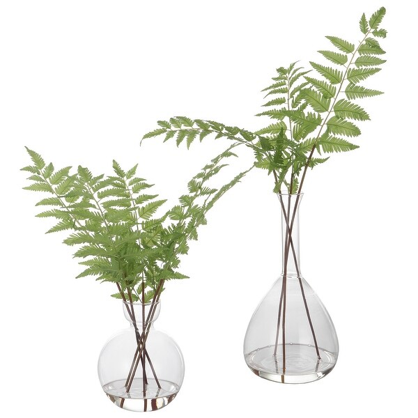 Uttermost Country Ferns，S/2