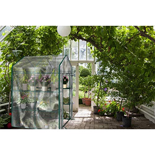 Home-Complete Walk-in Greenhouse-Indoor Outdoor with 8 Shelves, Green