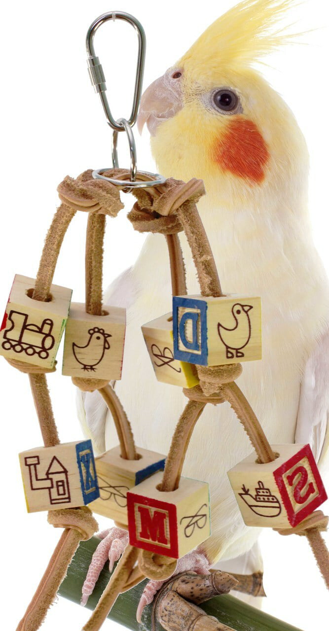 Bonka Bird Toys 1879 Small ABC Block Bird Toy.