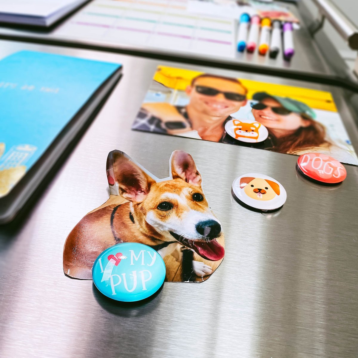 Pearhead Dog Magnets