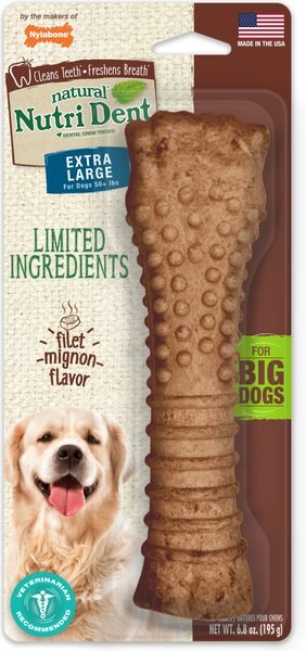 Nylabone Nutri Dent Filet Mignon Flavored Dental Chew Dog Treat