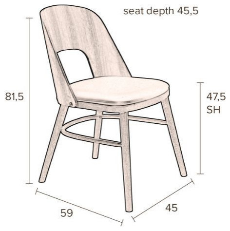 Mid Modern Wooden Dining Chairs (2)  Dutchbone Talika   Midcentury   Dining Chairs   by Luxury Furnitures  Houzz