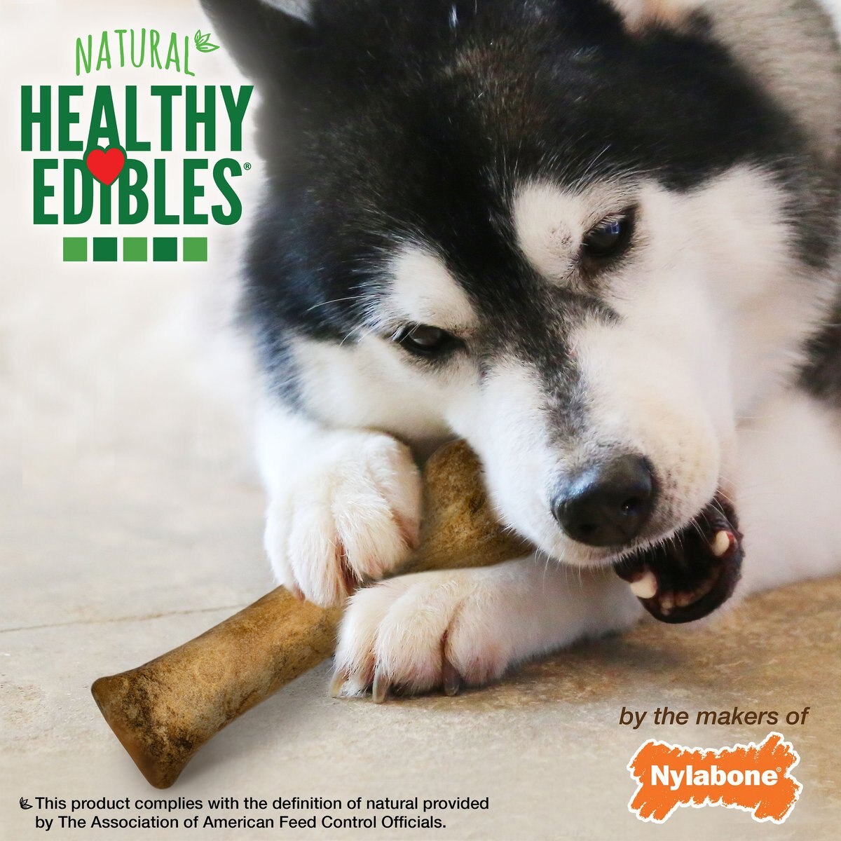 Nylabone Healthy Edibles All-Natural Long Lasting Chicken Flavor Dog Chew Treats，  X-Large