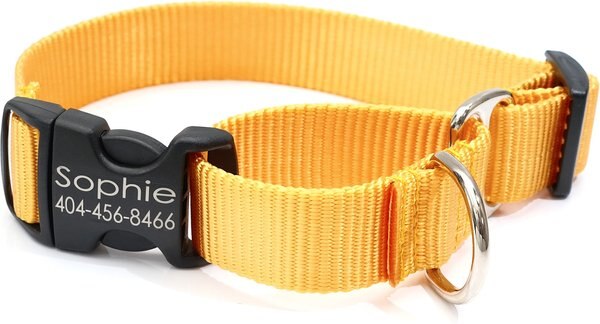 Mimi Green Personalized Nylon Martingale w/Black Plastic Buckle Dog Collar