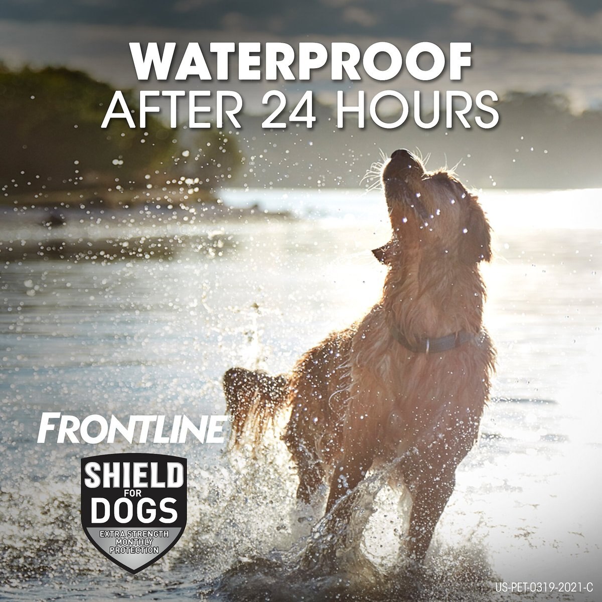 Frontline Shield Flea and Tick Treatment for Large Dogs， 41 - 80 lbs