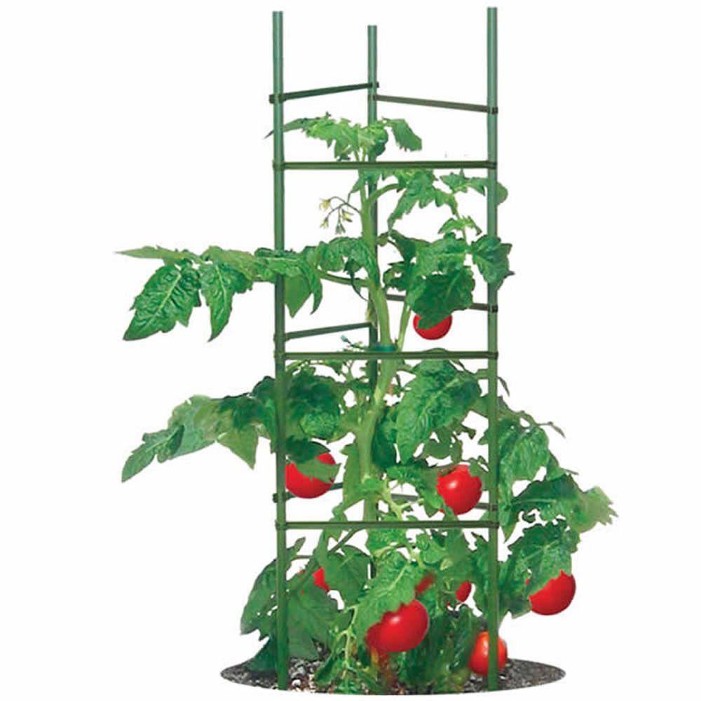 Gardener's Blue Ribbon Ultomato Tomato Plant Cage TMC60