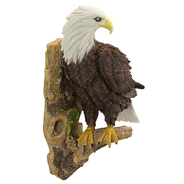 Design Toscano American Bald Eagle Bird Of Prey Wall Sculpture Multicolored