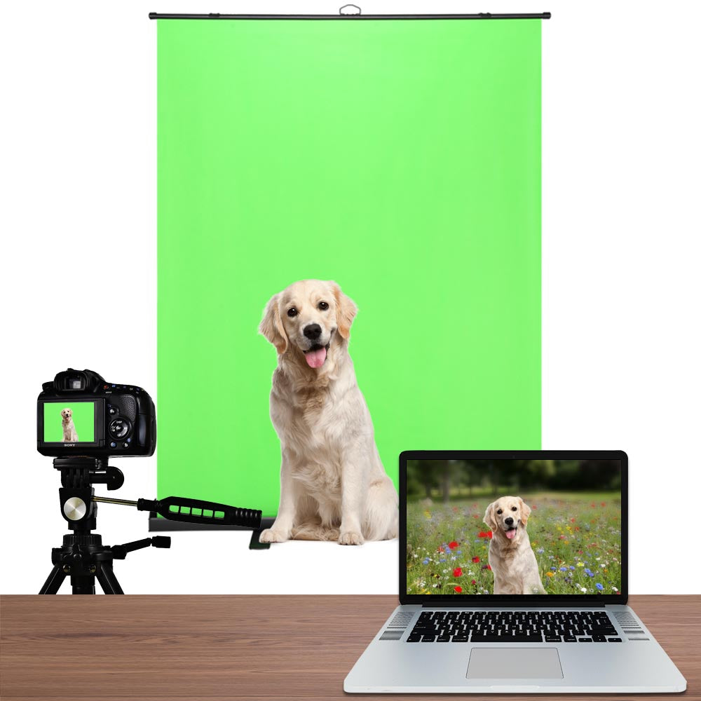 InstaHibit Green Screen Chromakey Backdrop Floorstanding 6.6 ft