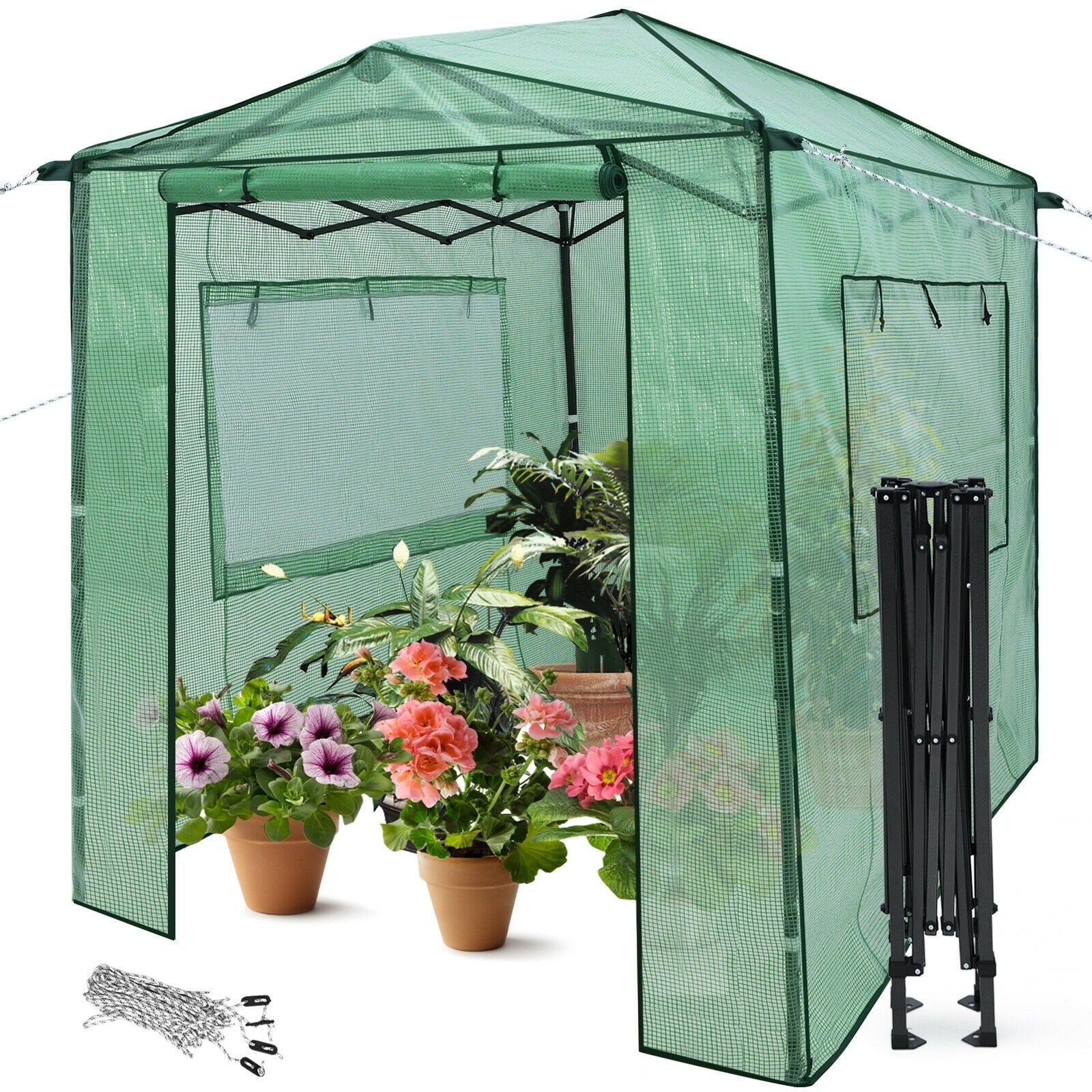 8¡¯ x 6¡¯ Outdoor Portable Walk-in Greenhouse with Roll-up Doors and Windows