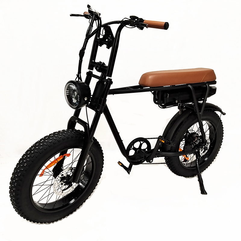 Eu Warehouse Full Suspension Retro 1000w Ebike E Fatbike Stealth Bomber 500w 750 Watt 20inch Fat Tire Electric Bike