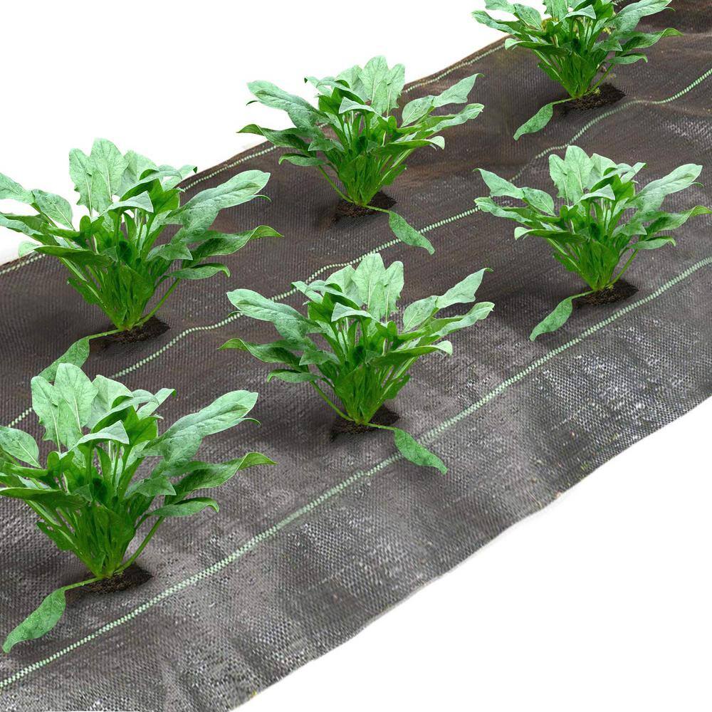 Agfabric Weed Control Garden Mats 4 ft. x 12 ft. 3.0 oz. with 4 Rows Planting Hole Dia 3 in. Heavy-Duty Polypropylene (3-Pack) VP-DKBZH3083P