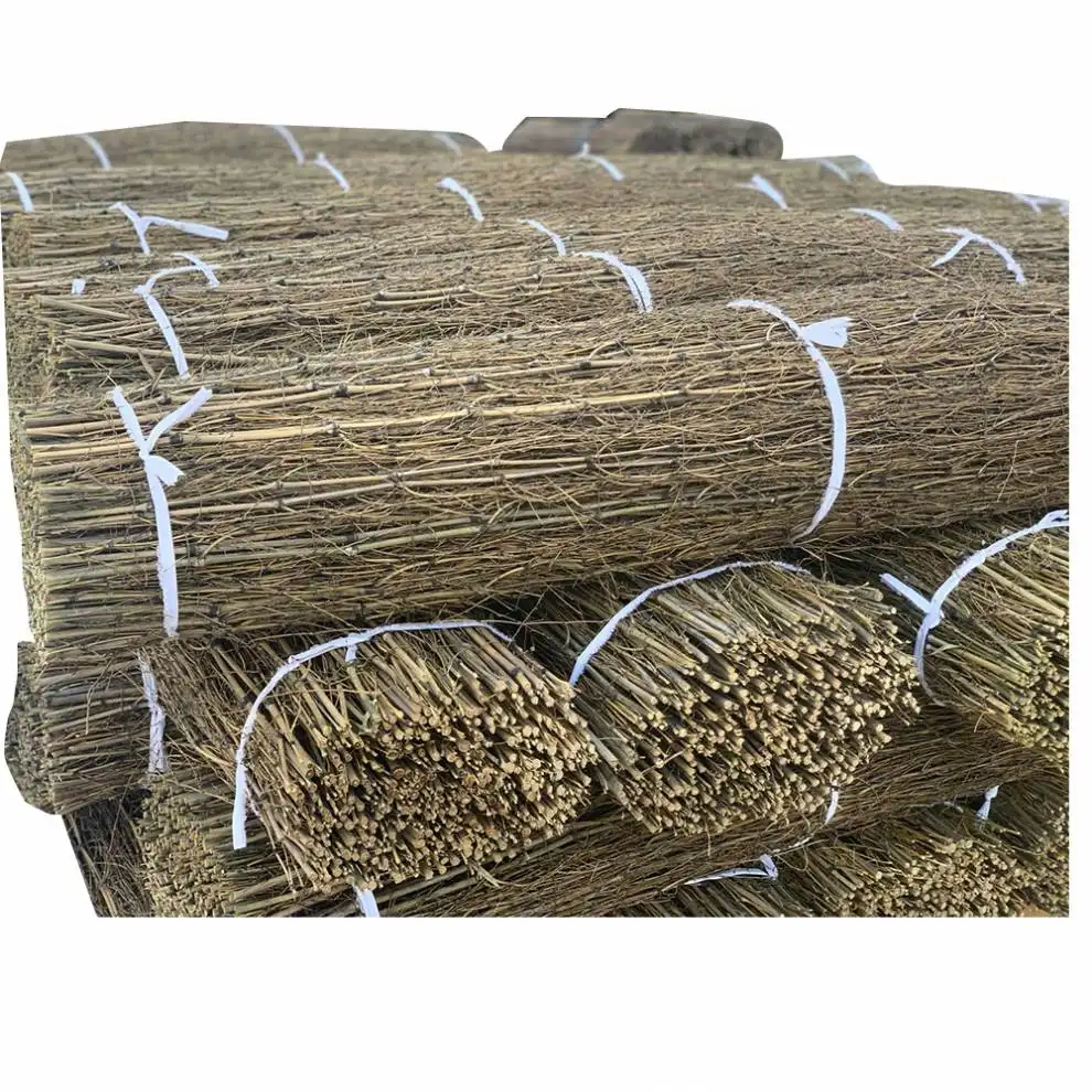 Cheap price wholesale supplies dried bamboo branches fence