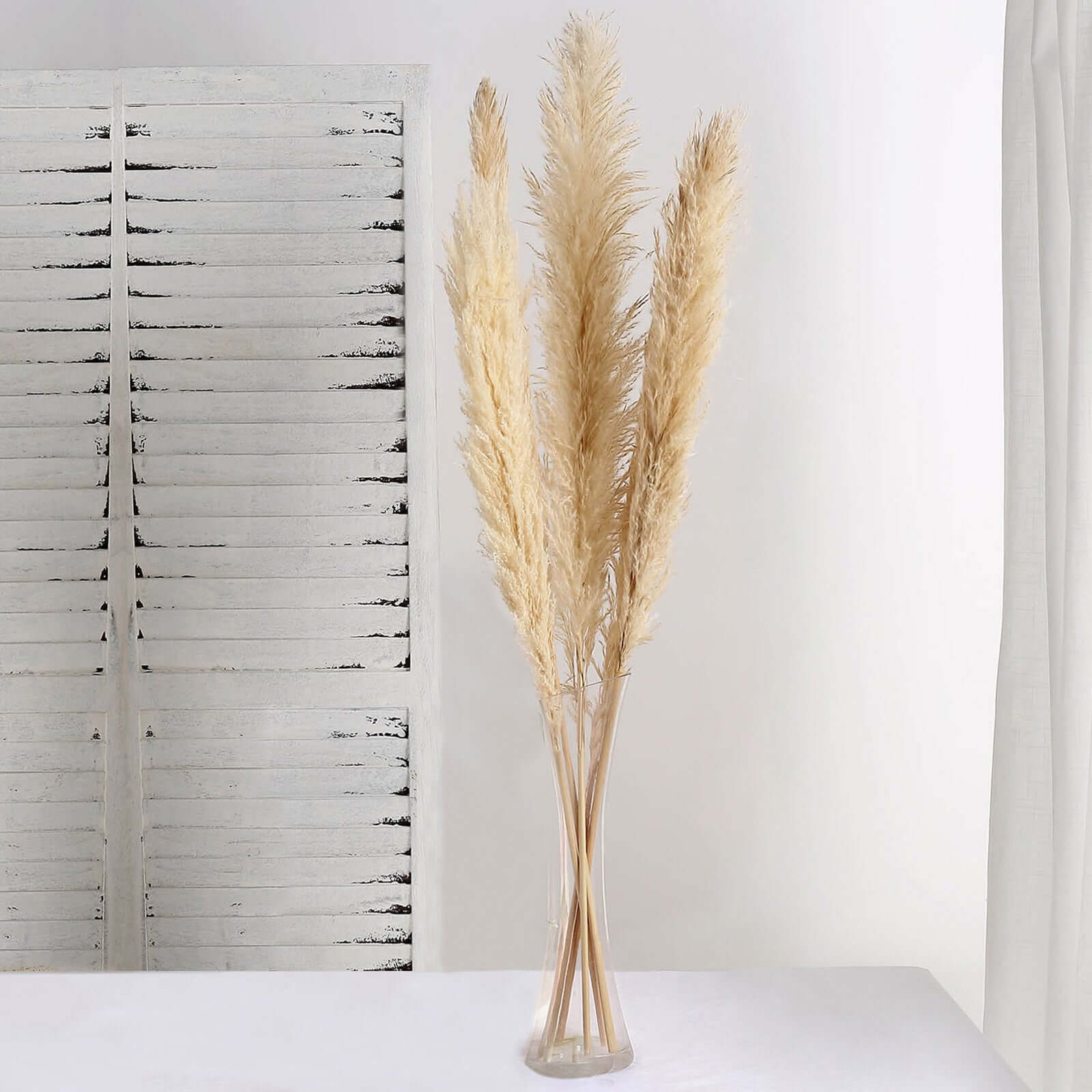 6 Stems Wheat Tint Dried Natural Pampas Grass Plant Sprays 49