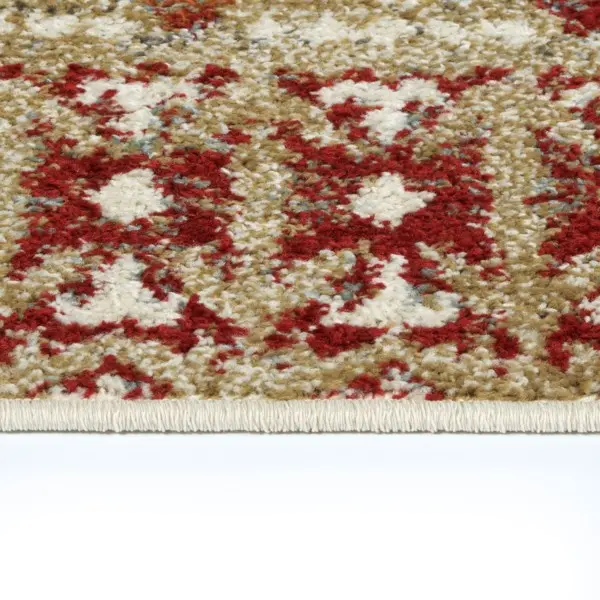 5 x 8 Medium Gold and Red Area Rug - Kavon