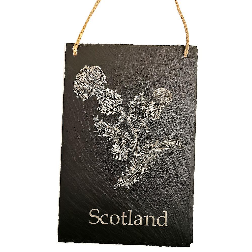 Scotland Thistle Decorative Hanging Board  by Hut Worx