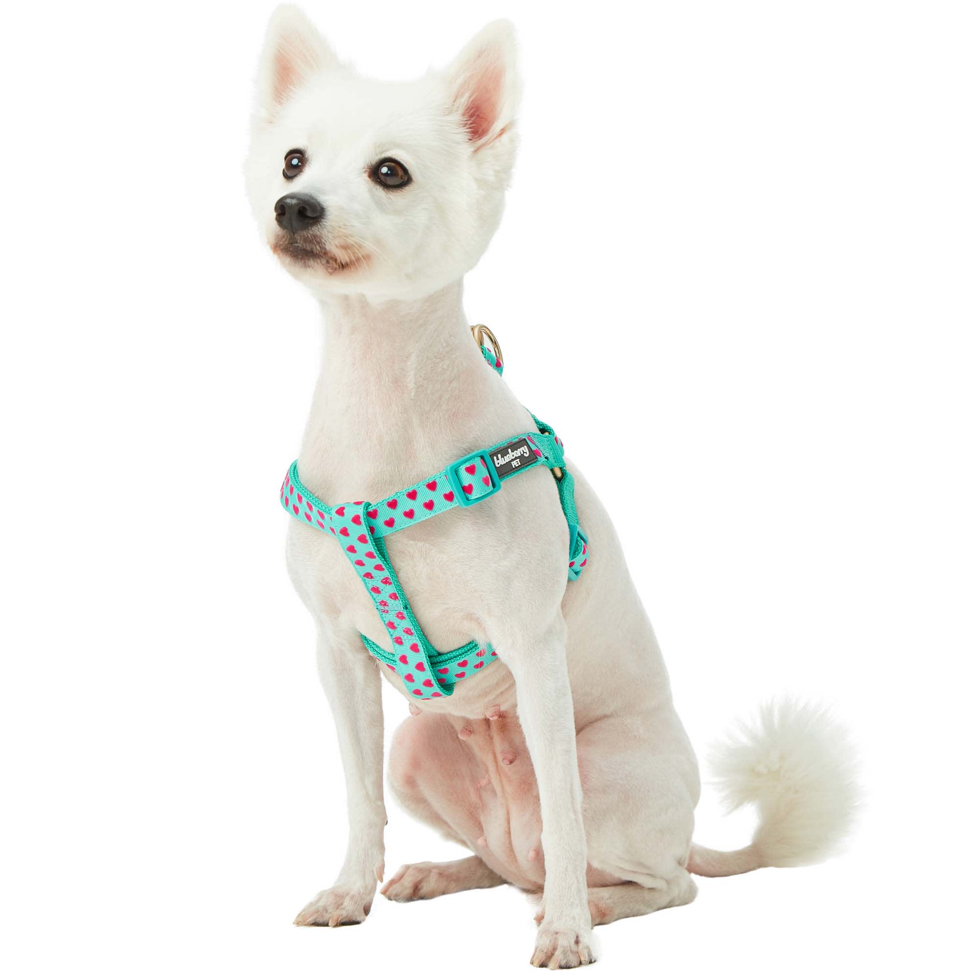 BLUEBERRY PET Minty Green Step-in Velvety Heart Flocking Dog Harness， Small