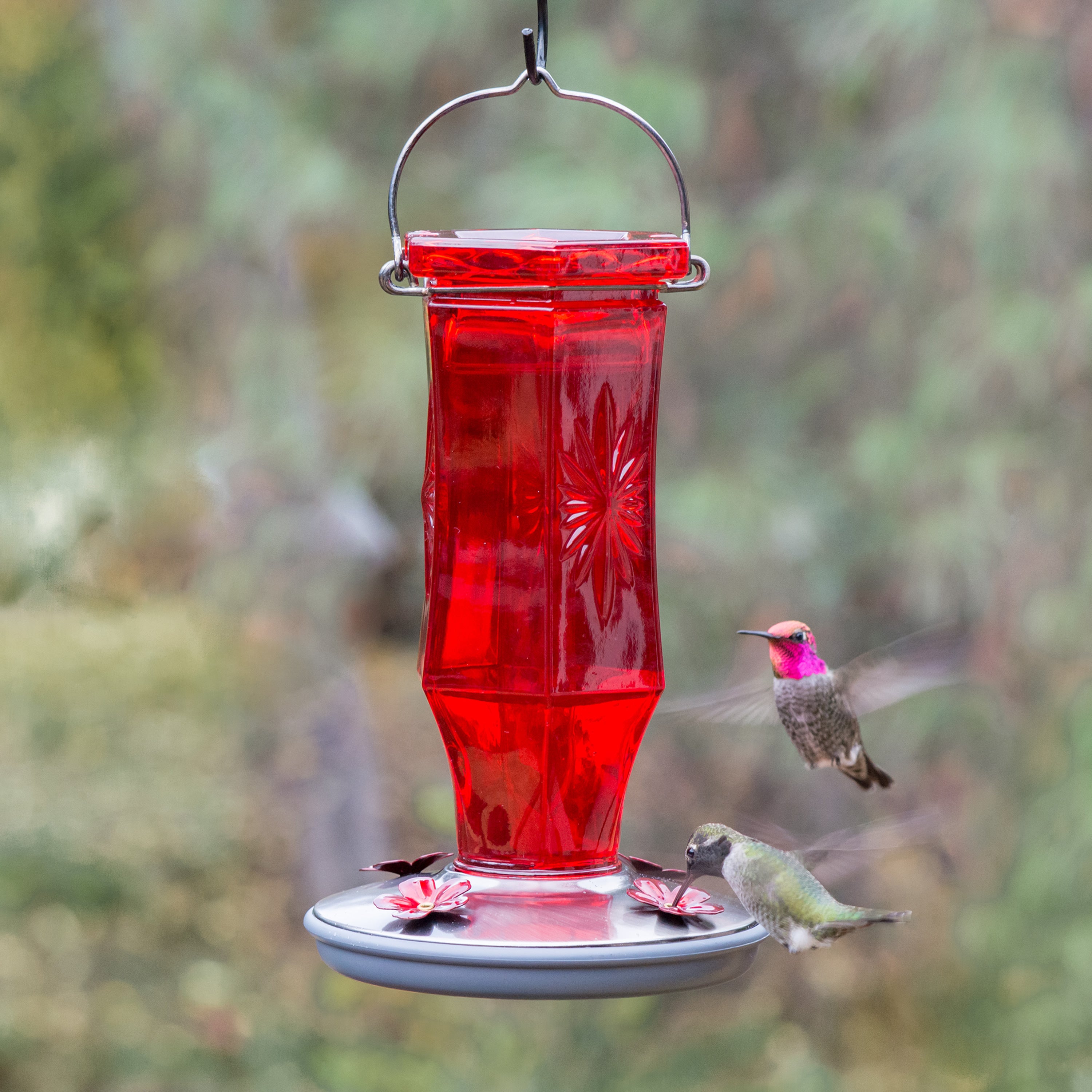 Perky-Pet 16 oz Ruby Starburst Vintage Hummingbird Feeder