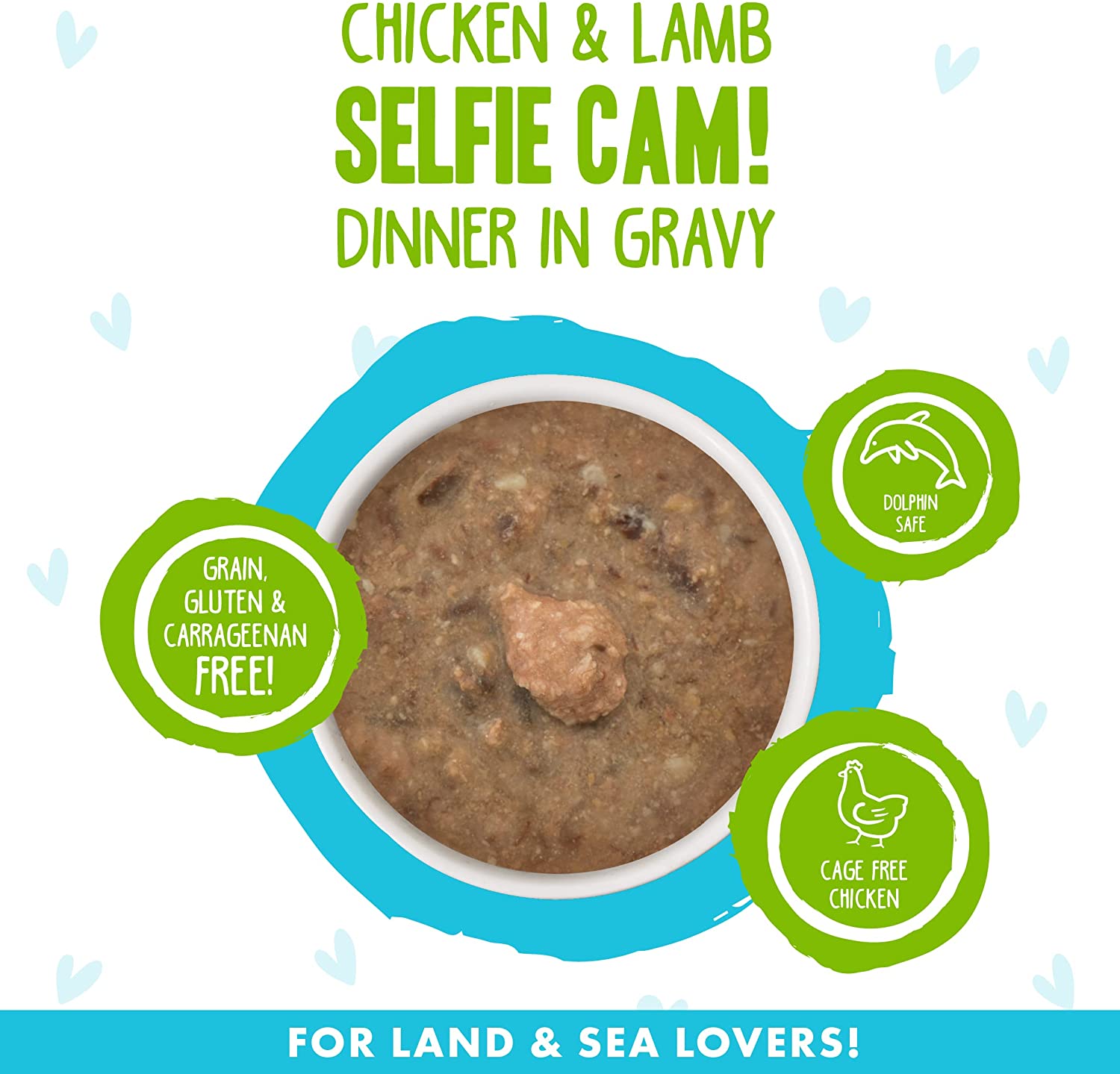 Weruva B.F.F. OMG - Best Feline Friend Oh My Gravy!， Selfie Cam! with Chicken and Lamb in Gravy Cat Food， 2.8-Ounce Can (Pack of 12)