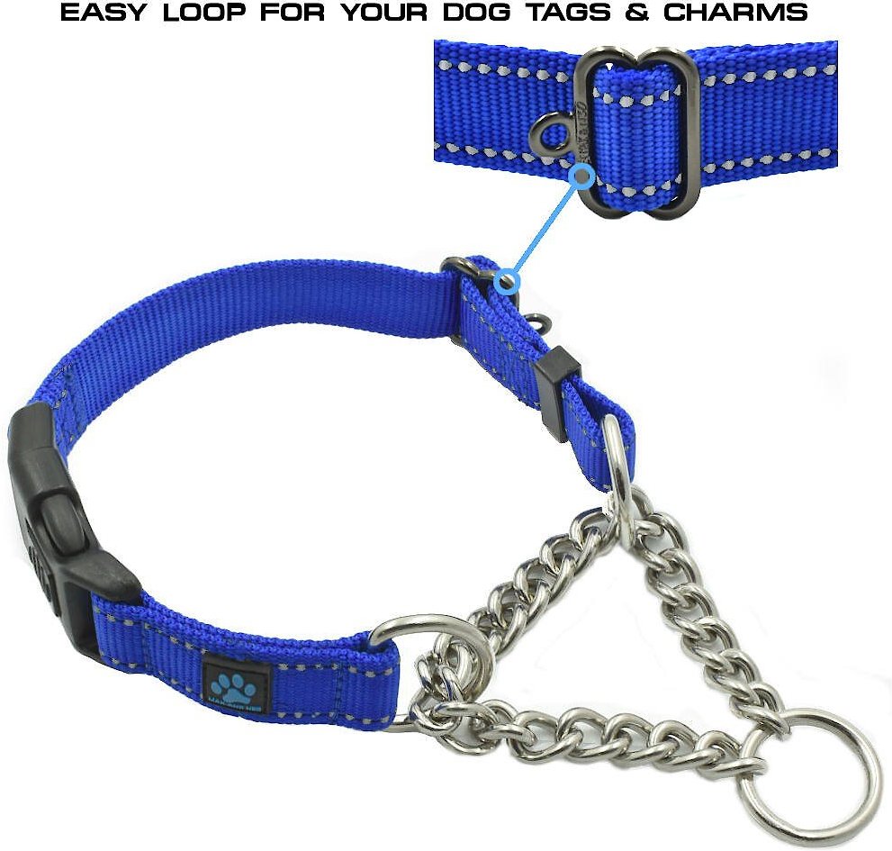 Max and Neo Dog Gear Nylon Reflective Martingale Dog Collar with Chain