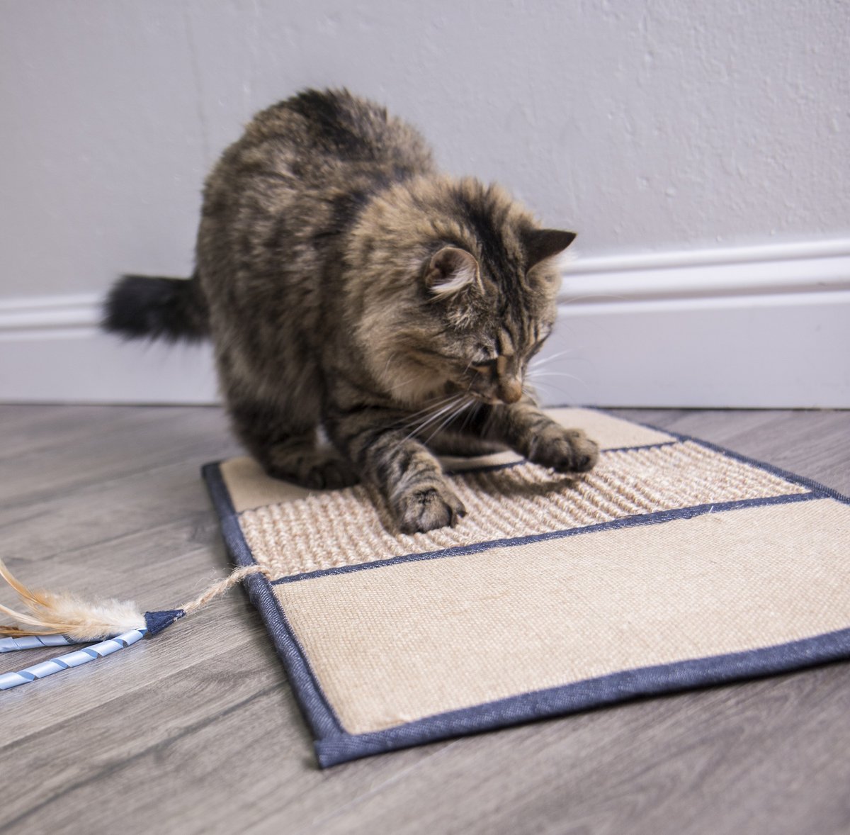 Petlinks Scratch and Play Mat Cat Scratcher Toy with Catnip