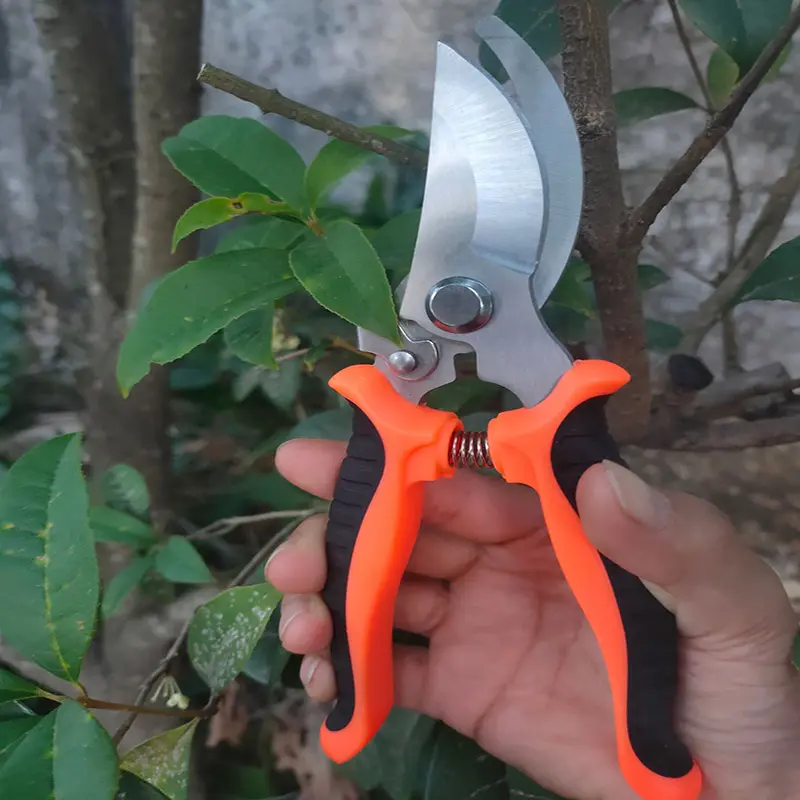 Lightweight Hand Tip Pruning Shears Pruners Gardening Scissors Hand Pruner Pruning Shear With Straight Stainless Steel Blades