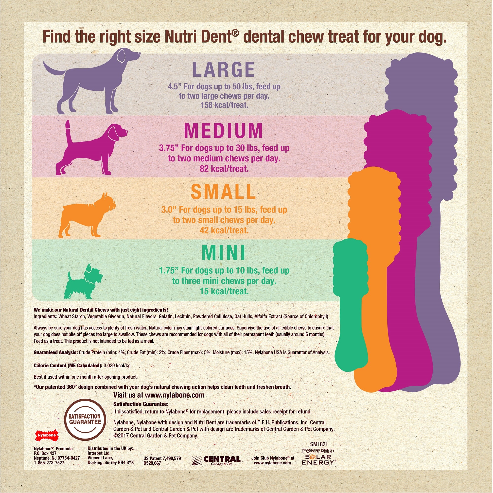 Nylabone Nutri Dent Limited Ingredients Mini Filet Mignon Dental Chews for Dogs， 13.7 oz.， Count of 78