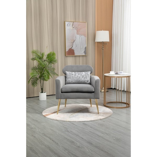 Modern Lounge Accent Chair with Velvet Upholstery， Grey