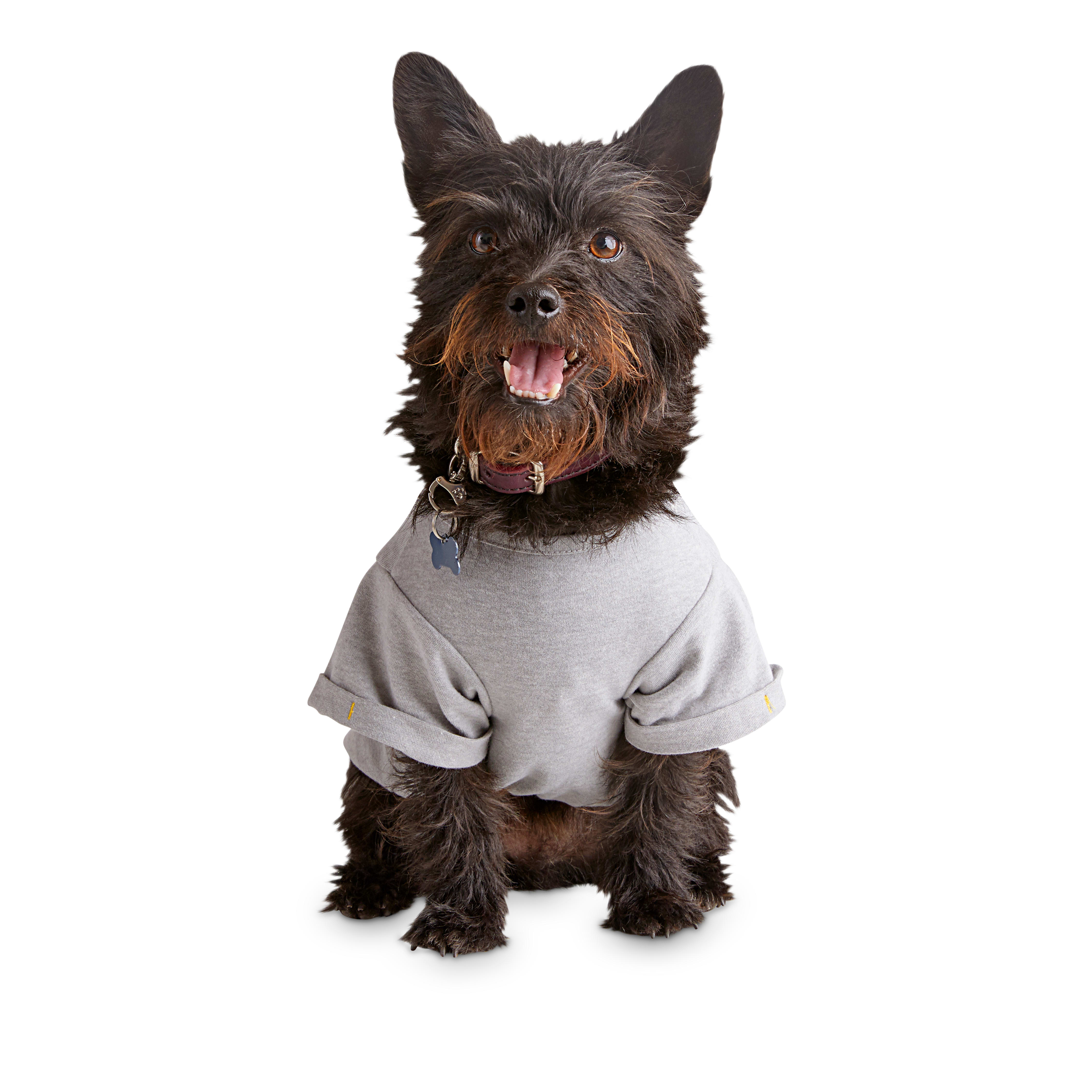 YOULY The Free Spirit Rainbow Love Dog Grey T-Shirt， X-Small