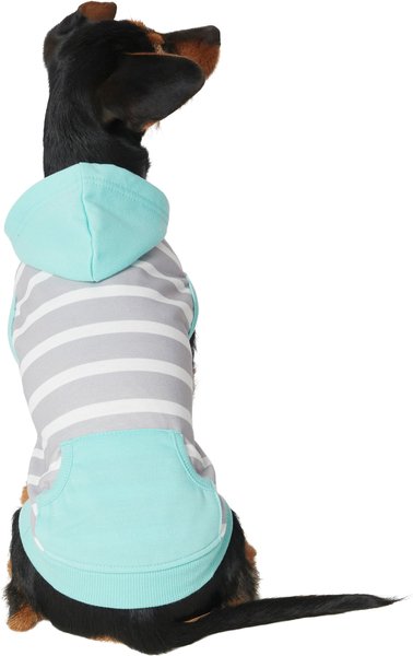 Frisco Striped Colorblock Dog and Cat Hoodie， Teal