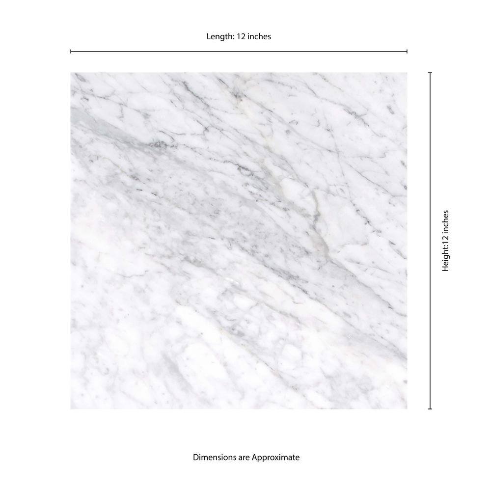 MSI Carrara White 12 in. x 12 in. Polished Marble Stone Look Floor and Wall Tile (10 sq. ft.Case) TCARRWHT1212