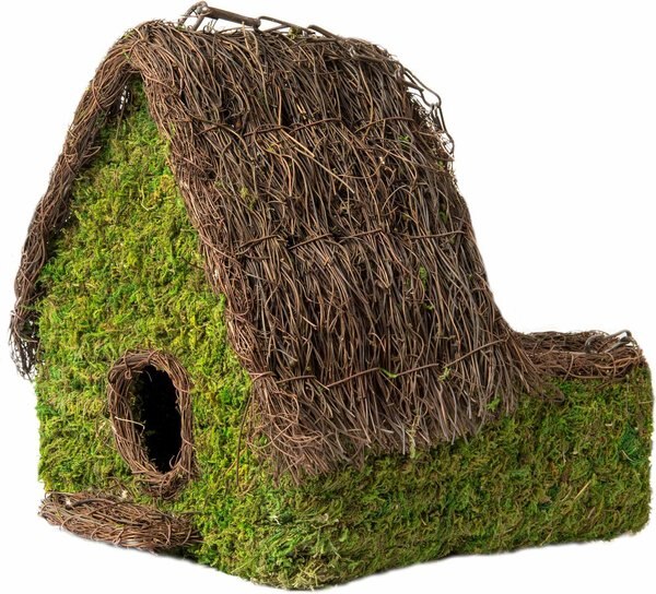 Galapagos Plantable Maison Birdhouse， Fresh Green