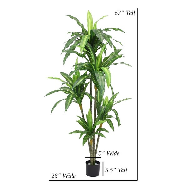 The Mod Greenhouse Artificial Dracaena Plant in Black Matte Planter's Pot