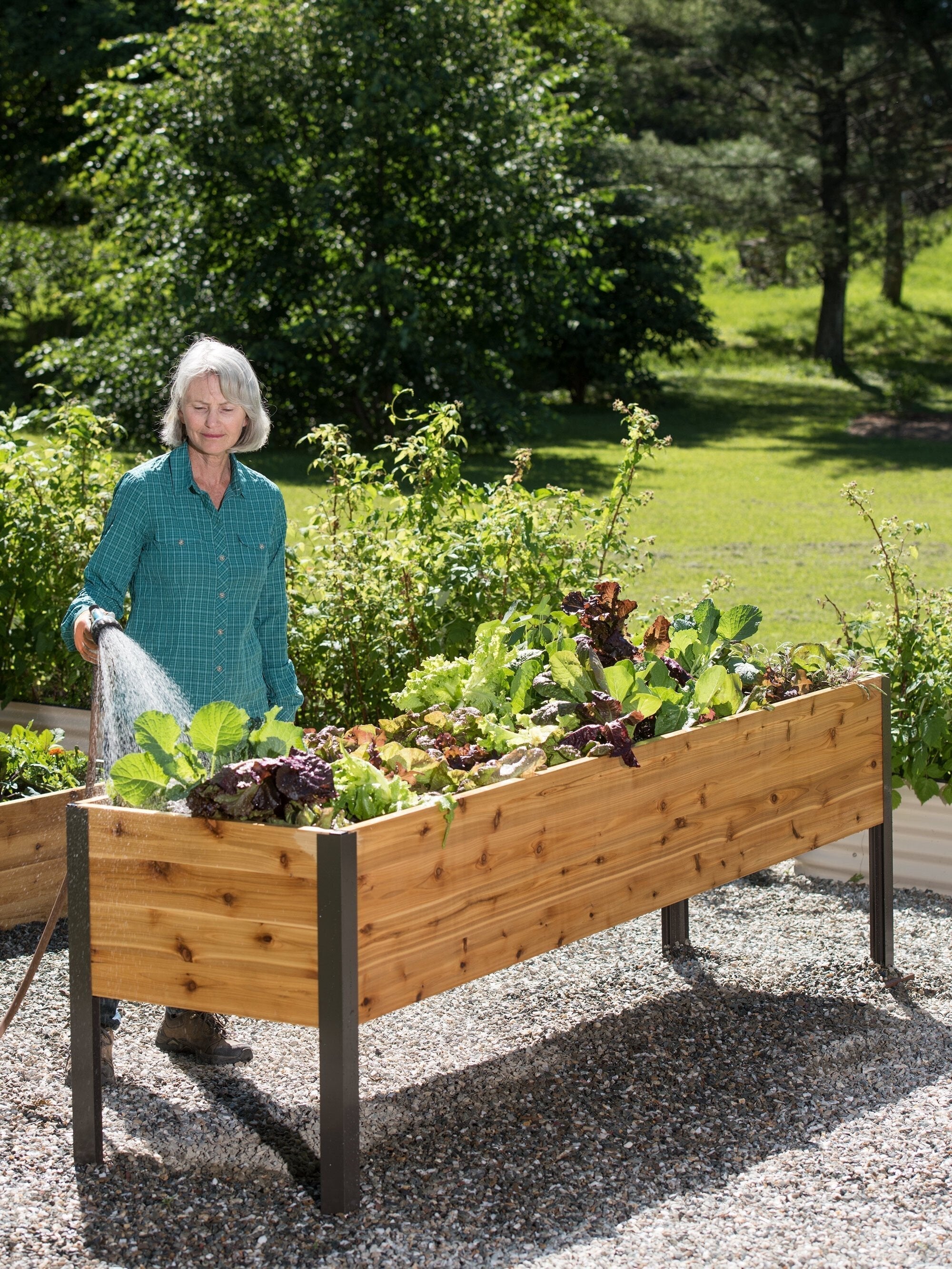 Watering Eco-Stained Elevated Planter Box