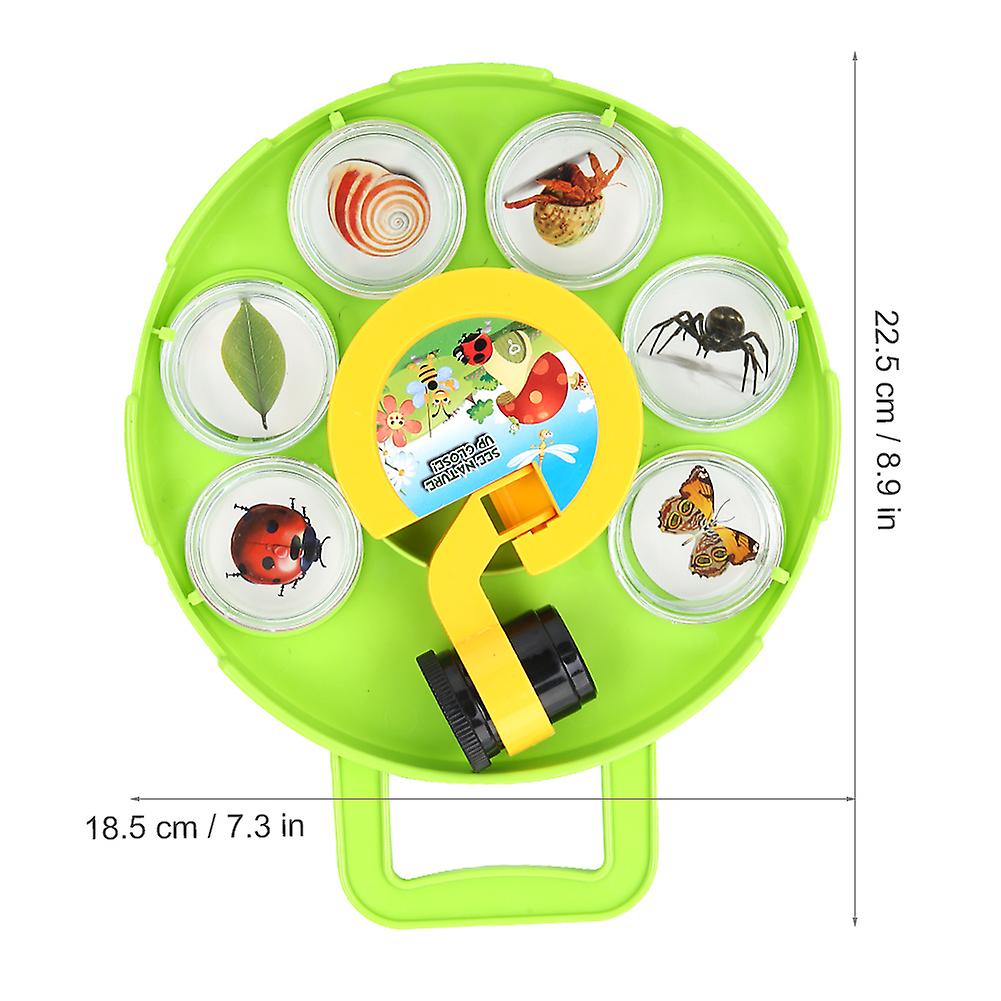 Outdoor Science Insect Capture Observation Magnifier Box Container Viewer