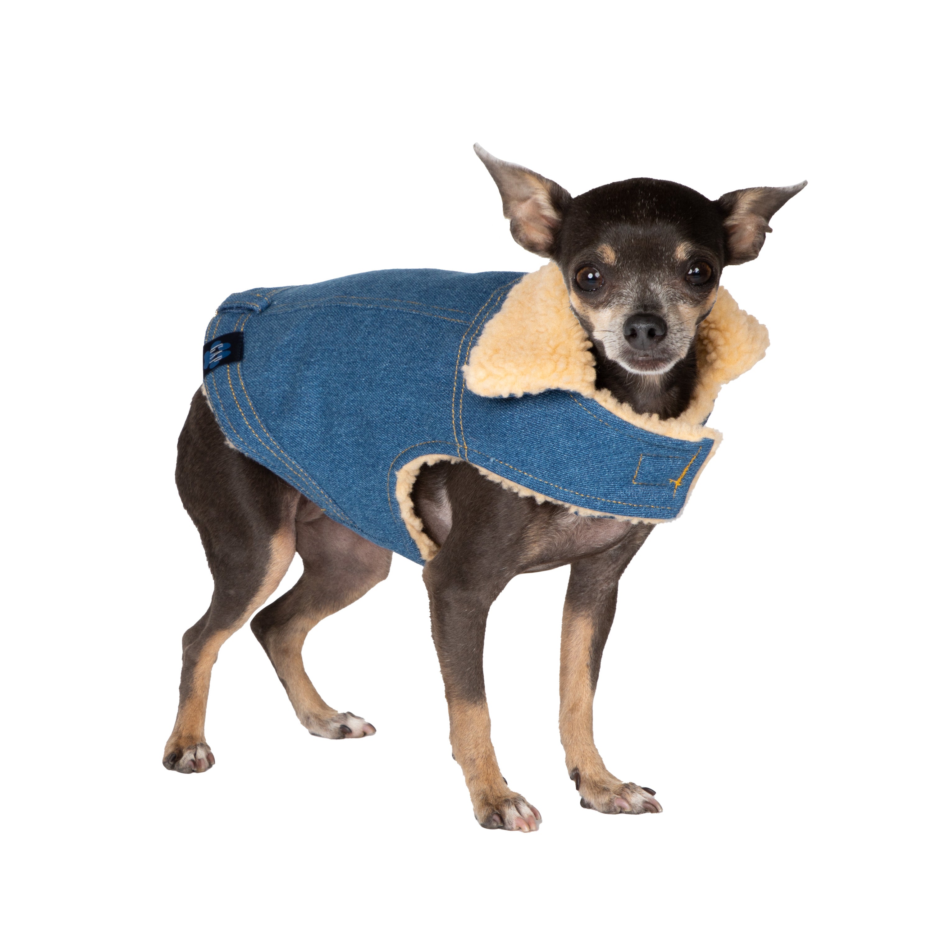 Gap Pet， Dog Clothes， Blue Denim Pet Jacket