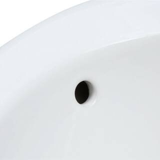 American Standard Cornice Wall-Mount Bathroom Sink in White 0611.004.020