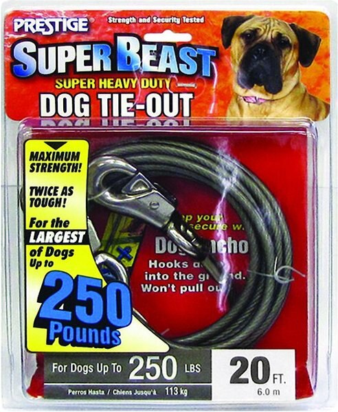 Boss Pet Prestige Dog Tie-Out， Super Beast， Black